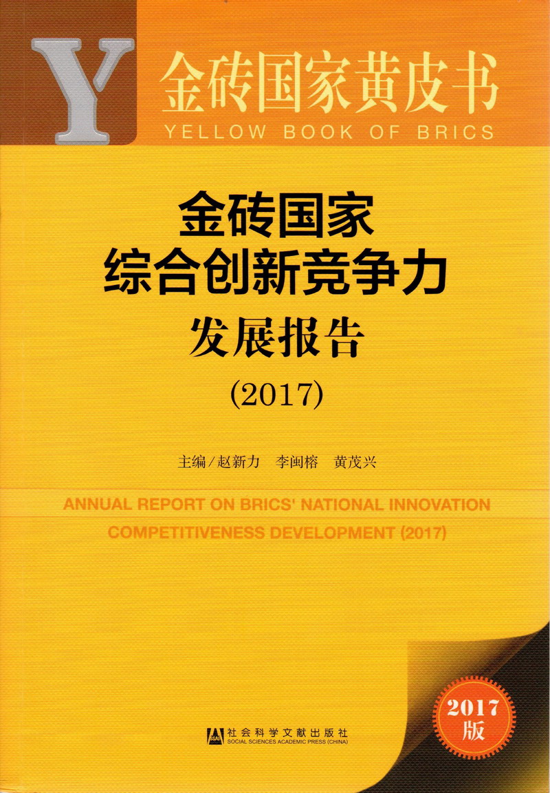 日本美女被鸡巴操逼金砖国家综合创新竞争力发展报告（2017）